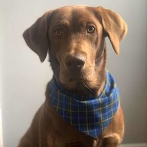 Meet your Posher, Haley